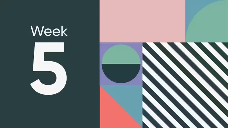 Welcome to week 5 of Knowledge 2020