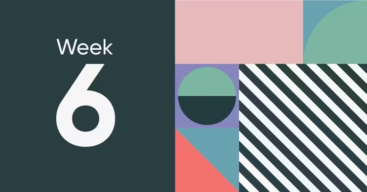 Welcome to week 5 of Knowledge 2020