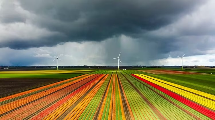 Activating ESG strategies and initiatives can improve business and the world.