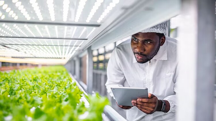 Accelerating business value and digital transformation with data