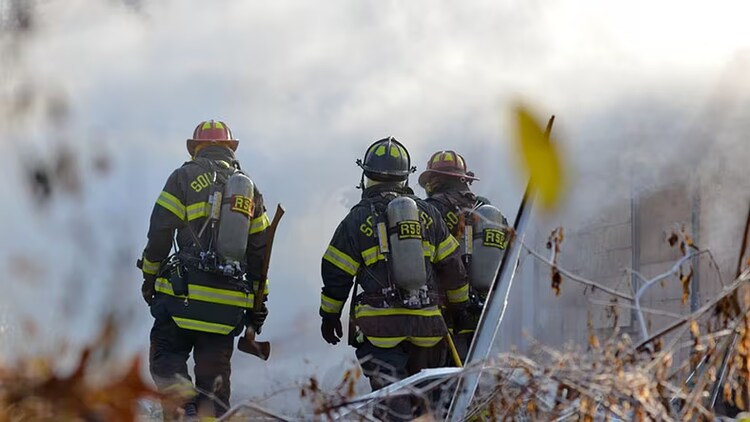 Government disaster response: rear view of 3 uniformed rescue workers