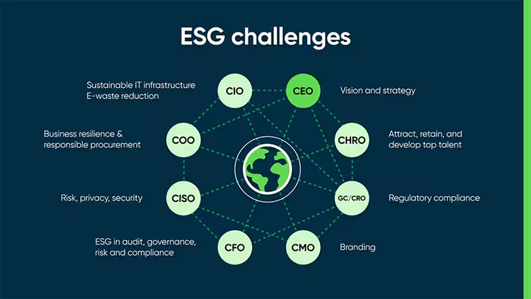 ESG challenges by C-level