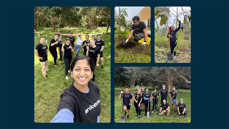 ServiceNow employees planting trees