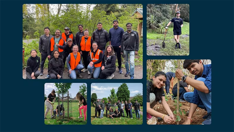 More ServiceNow employees planting trees