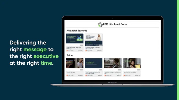 Delivering the right message to the right executive at the right time - ABM Lite Asset Portal