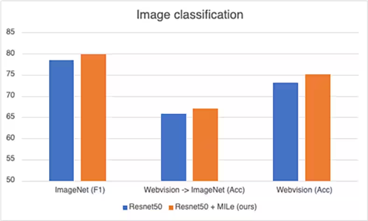 Image classification results