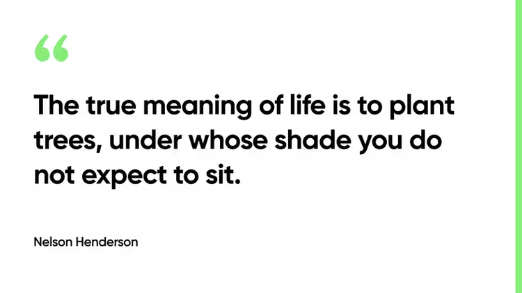 The true meaning of life is to plant trees, under whose shade you do not expect to sit. - Nelson Henderson