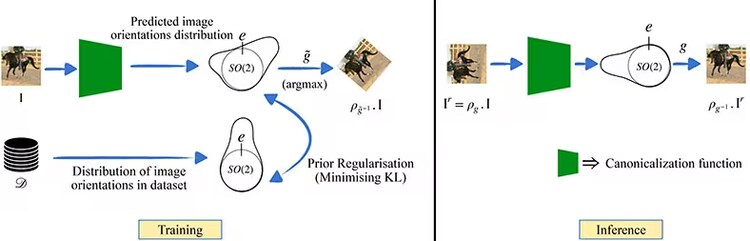 The canonicalization function outputs a distribution over image orientations used to canonicalize the input image.