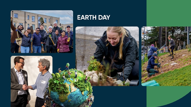 ServiceNow employees planting trees to preserve our planet