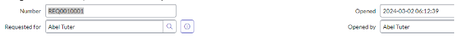 magee_7-1709557005705.png