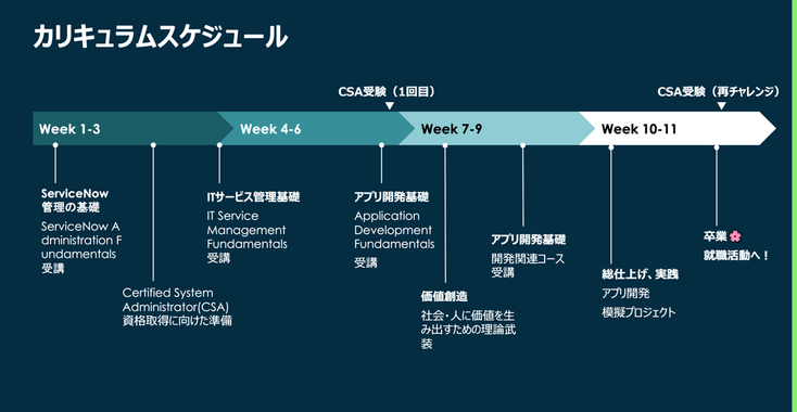 EmiSakurai_1-1740125875999.png