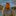 Evan McElfresh