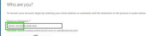 email edit.png