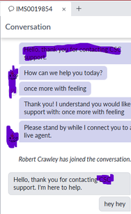 Chat Window screen.png