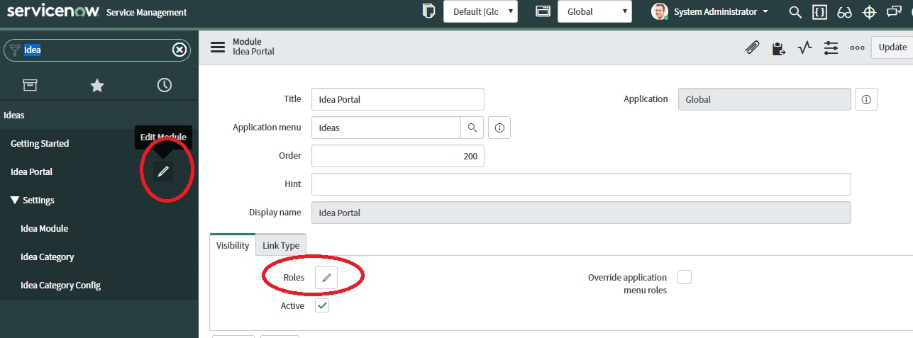 Servicenow Idea Module Idea Portal Setup - ServiceNow Community