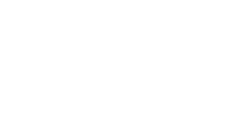 Lion logo