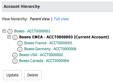 現在のアカウントに関する情報と、アカウントの詳細を更新および削除するオプションを含む、アカウント階層構造の親ビュー。