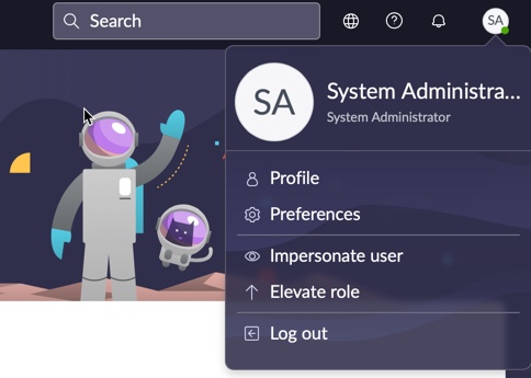 Profile in the instance header