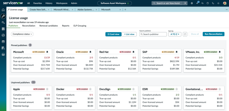 License usage view
