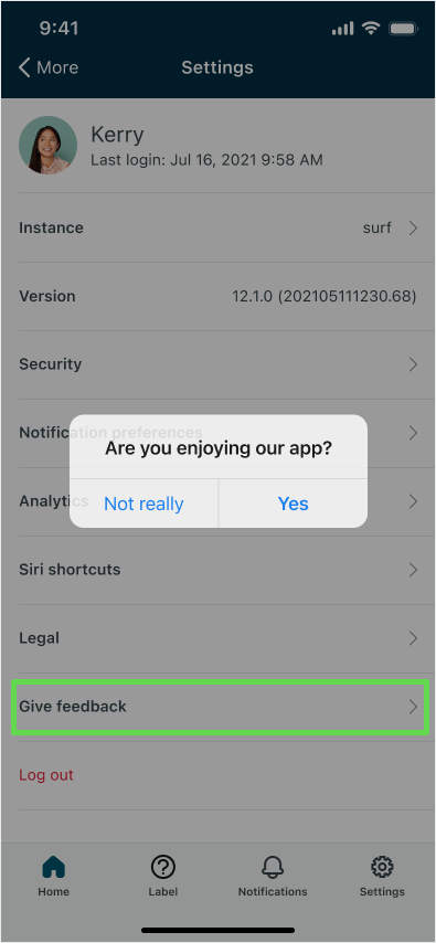 Display when selecting the Give feedback option in Settings.
