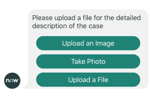 Prompt that reads, "Please upload a file for the detailed description of the case." There are three options: Upload an Image, Take Photo, or Upload a File.