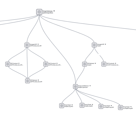 Dependency View of the Kong data model populated from a gateway.