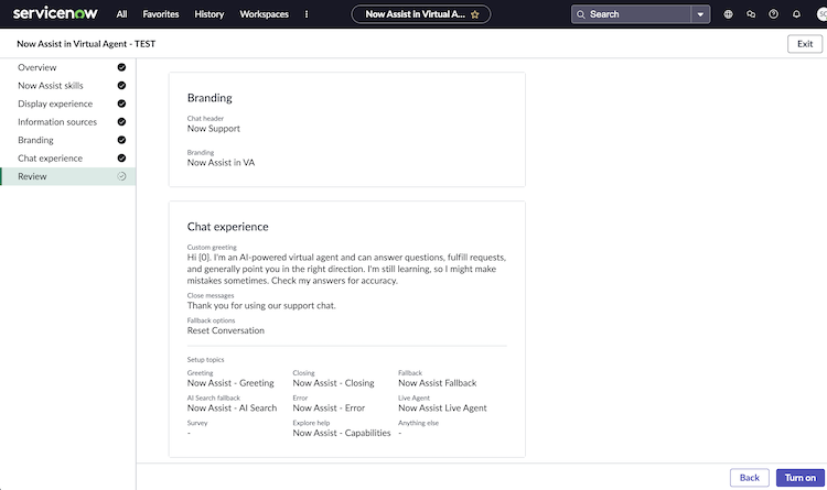 Review of branding and chat experience settings in the Review page.