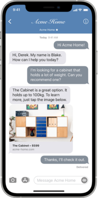 A conversation with a live agent on an iPhone.