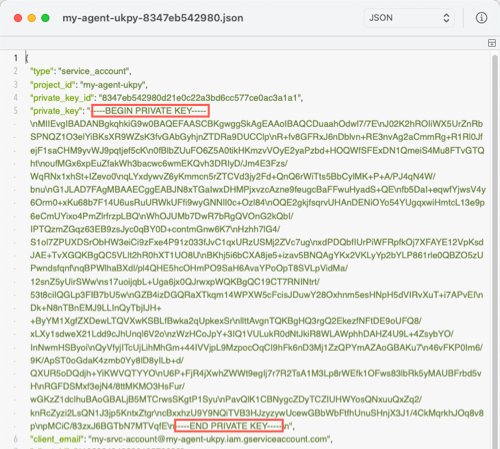 Select the text starting with –––--BEGIN PRIVATE KEY----- and ending with –––--END PRIVATE KEY-----