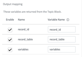 In this example, output mapping variables include record ID, record table, and user option variables.
