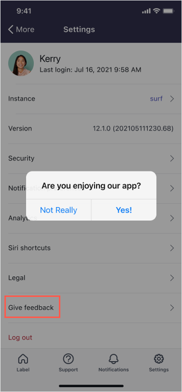 Exibir ao selecionar a opção Fornecer feedback em Configurações.