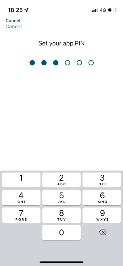 App PIN.