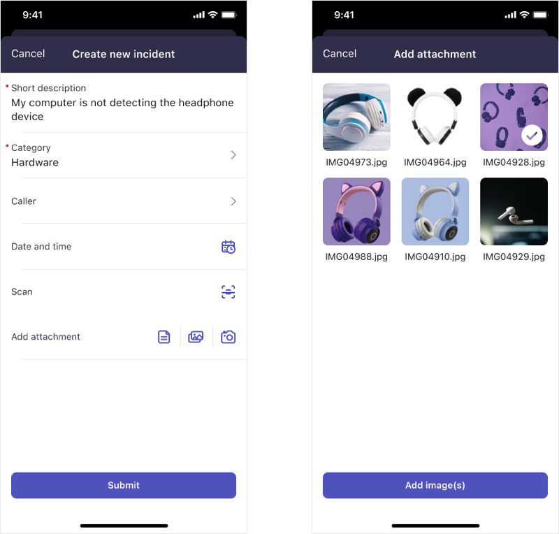 Examples of input form screens