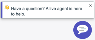 Sample welcome message from a live agent.