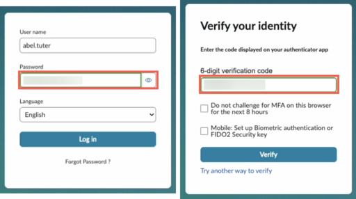 The user enters their login information and any authentication needed.