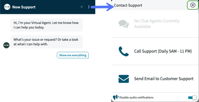 Virtual Agent chat window and contact support options.