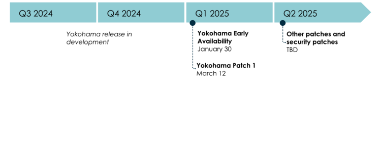 Yokohama 2025년 릴리스 타임라인