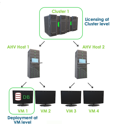 Example for showing Oracle licensing at cluster level with cluster, AHV, and VMs