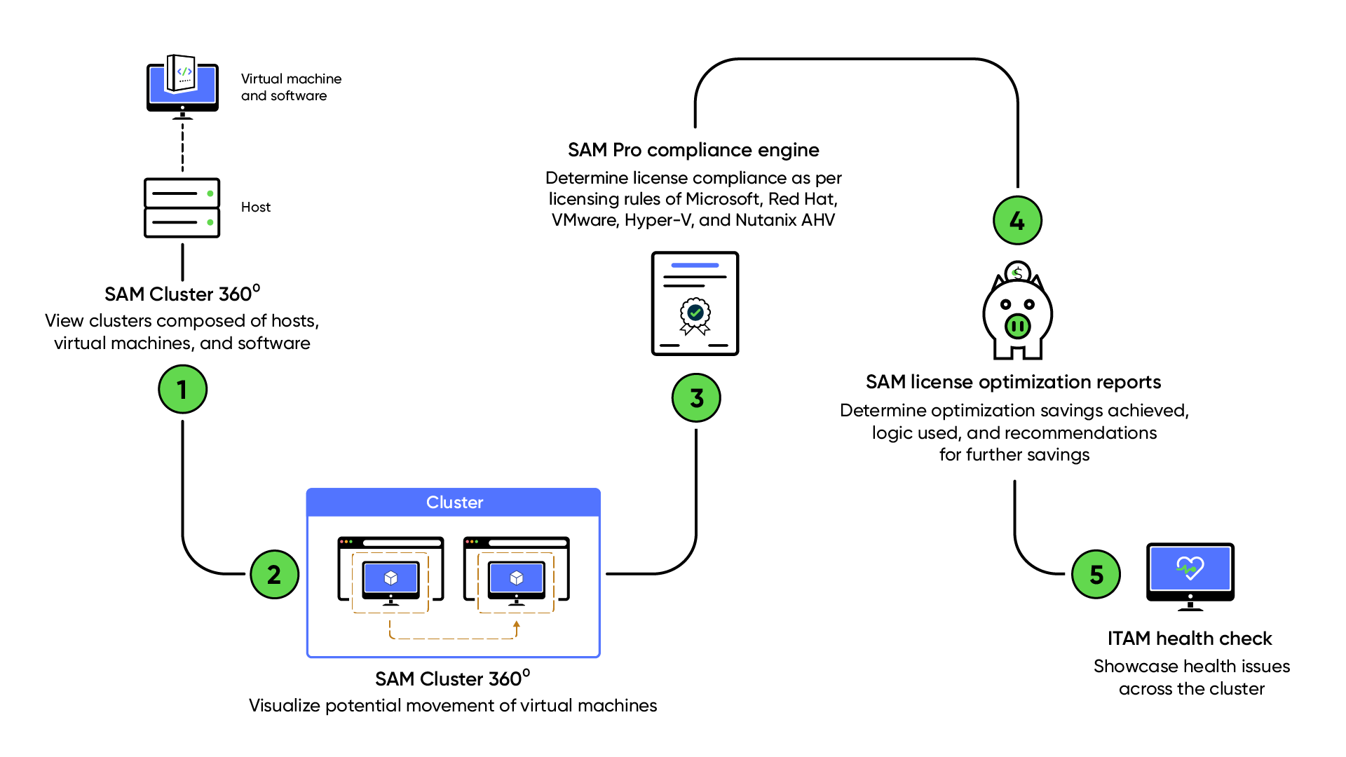 Software Asset Management support for cluster