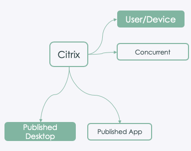 Citrix license architecture.