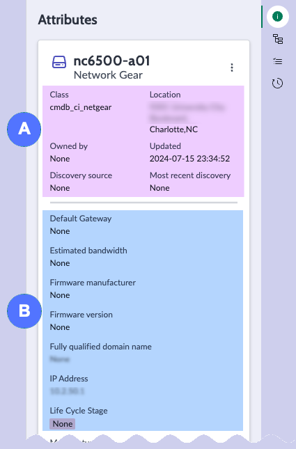 Attributes of the selected CI.
