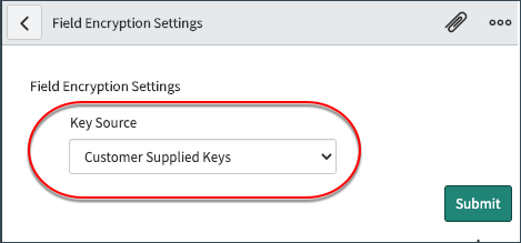 Field Encryption Settings Key Source selection form.