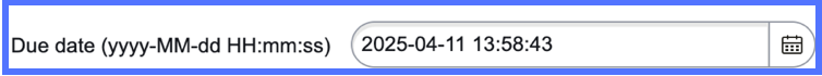 Due date form field with Show date and time formats on forms preference turned on.