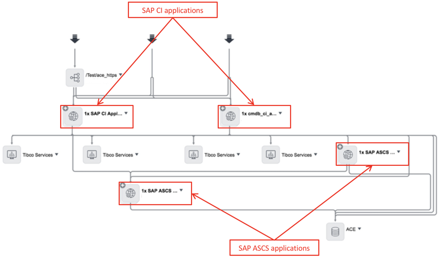 Tibco サービスと統合された SAP コンポーネントを含むアプリケーションサービスのマッピング結果を確認します。