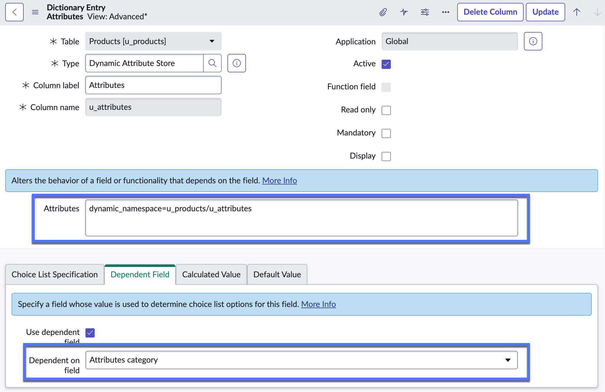 A dynamic attribute store field is created for capturing attributes about products.