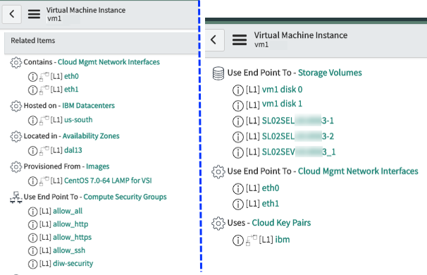 IBM Cloud Virtual Server – Related Items view