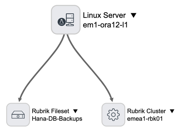Rubrik Linux Host dependency view