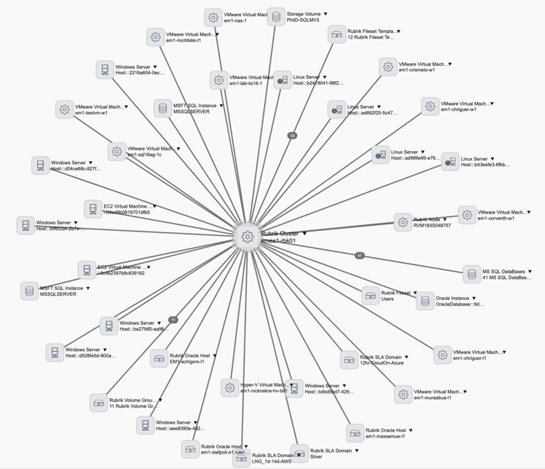 Rubrik cluster dependency view