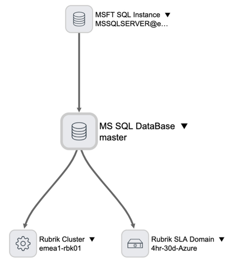 Rubrik MS SQL dependency view