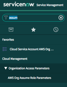 Endosser le module des paramètres de rôle org AWS